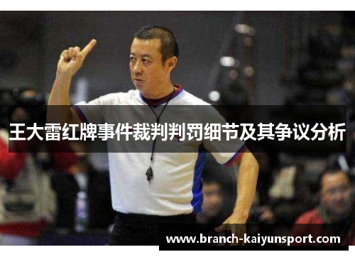 王大雷红牌事件裁判判罚细节及其争议分析