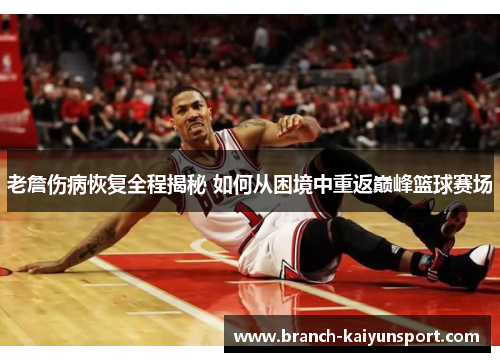 老詹伤病恢复全程揭秘 如何从困境中重返巅峰篮球赛场