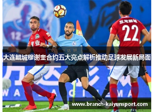 大连鲲城穆谢奎合约五大亮点解析推动足球发展新局面
