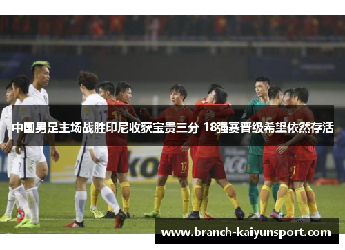 中国男足主场战胜印尼收获宝贵三分 18强赛晋级希望依然存活