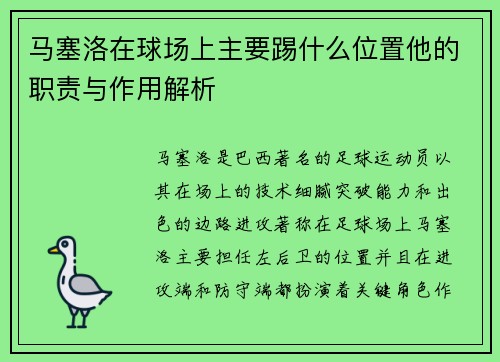 马塞洛在球场上主要踢什么位置他的职责与作用解析