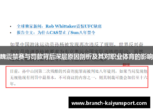 魏震禁赛与罚款背后深层原因剖析及其对职业体育的影响