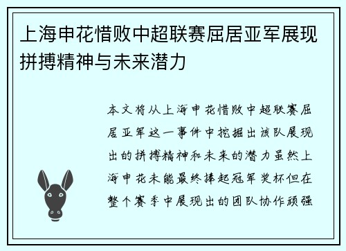 上海申花惜败中超联赛屈居亚军展现拼搏精神与未来潜力